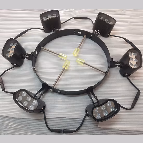 4X6w LED Waterproof Garden Tree Light for Plam
