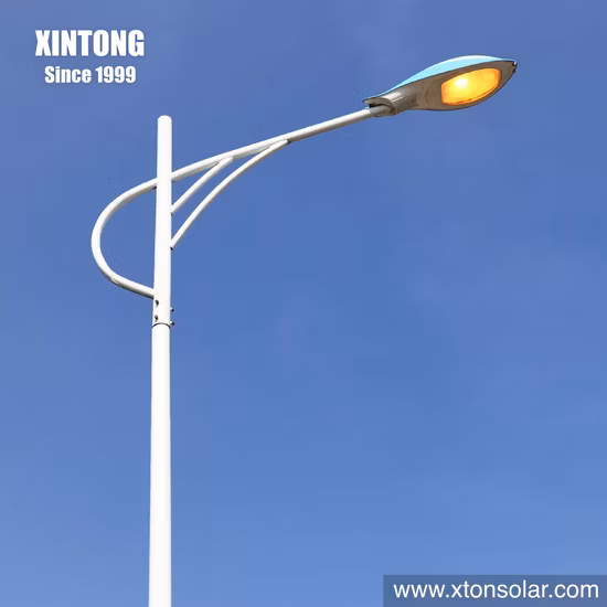 Lampione stradale principale da 20 W 30 W LED integrato per esterni con turbina Street Garden Street con pannello e batteria al litio